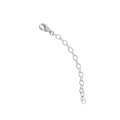 A delicate silver chain with a lobster clasp, featuring interlocking circular links. The minimalist design conveys elegance and simplicity.